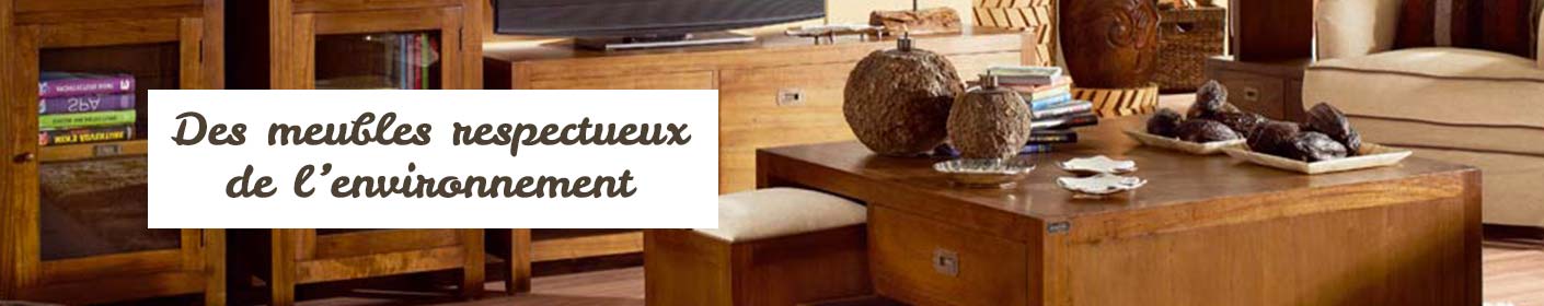 Des meubles respectueux de l'environnement